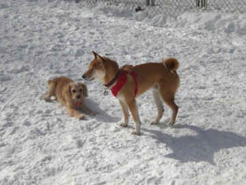 Rawley & Axel